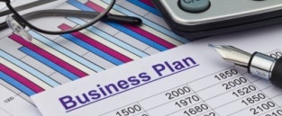 Write and test a business plan